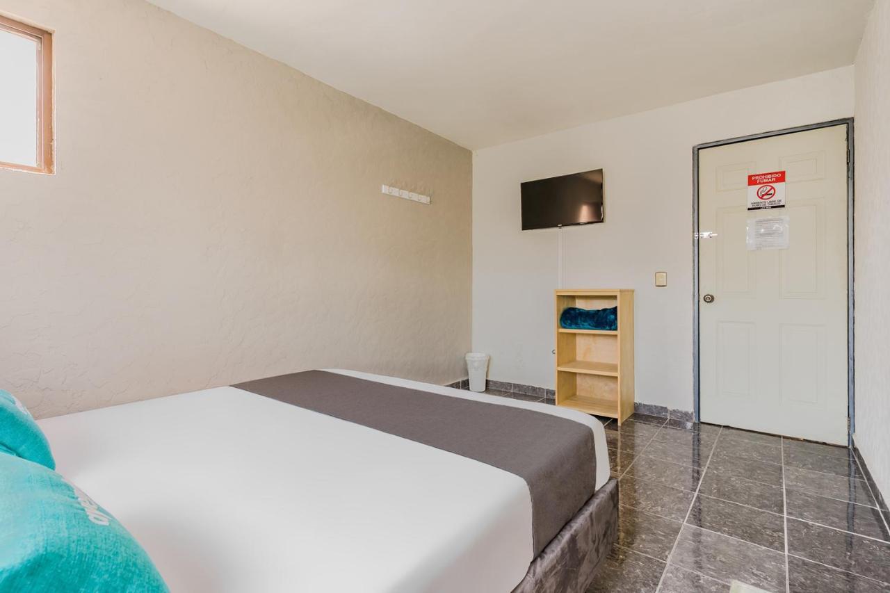 Hotel Blue Cristal à Monterrey Extérieur photo